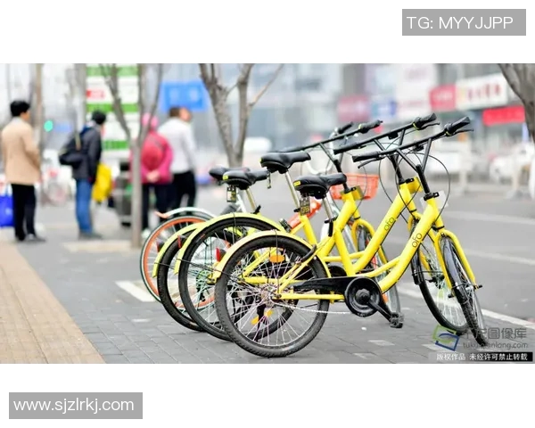 骑行新时代：探索城市自行车的未来发展与绿色出行的无限可能
