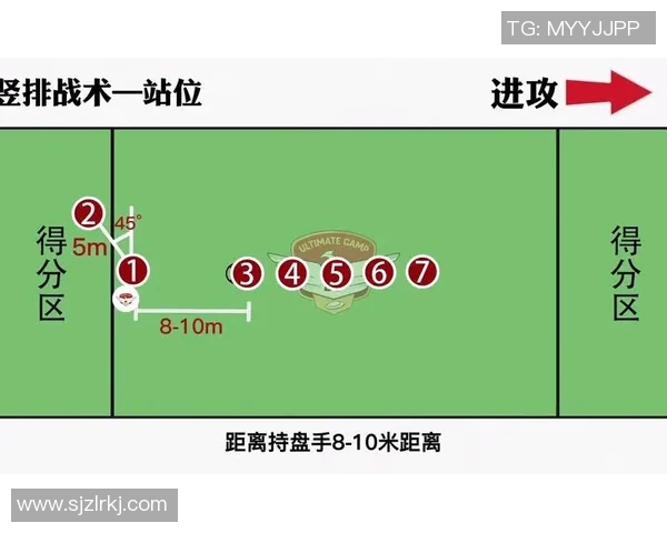 飞盘深度解析南京飞盘队的战术转换与团队协作之道