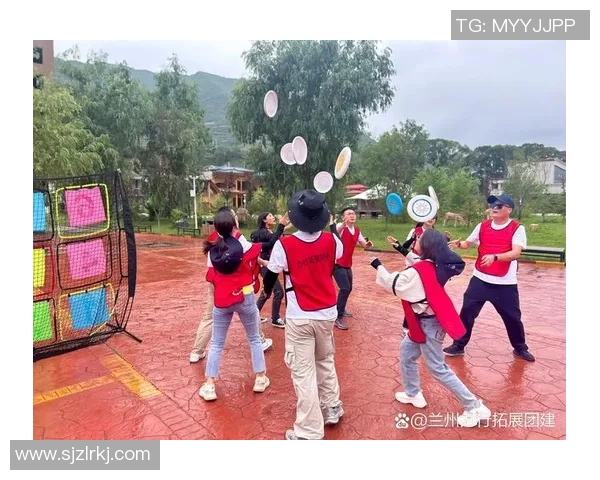 飞盘运动的魅力与挑战：深入探讨北京飞盘队的灵活性与团队协作